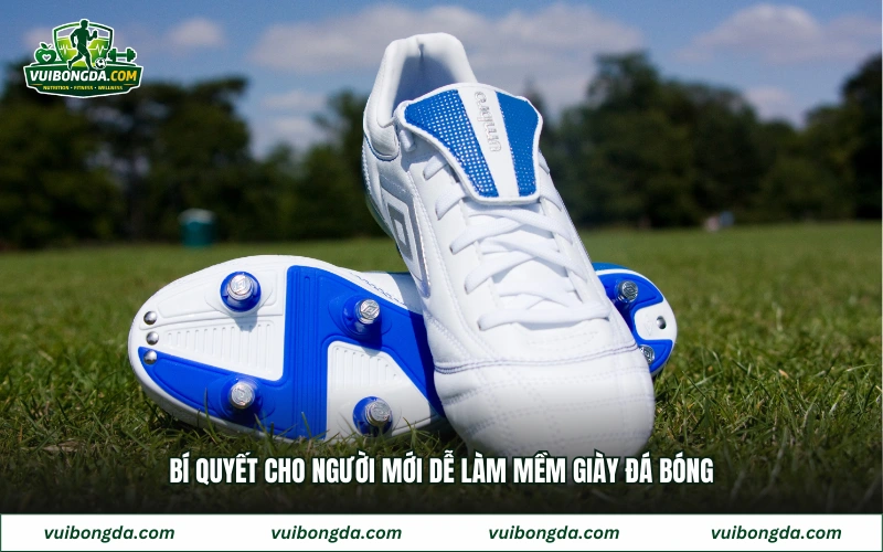 Bí quyết cho người mới dễ làm mềm giày đá bóng