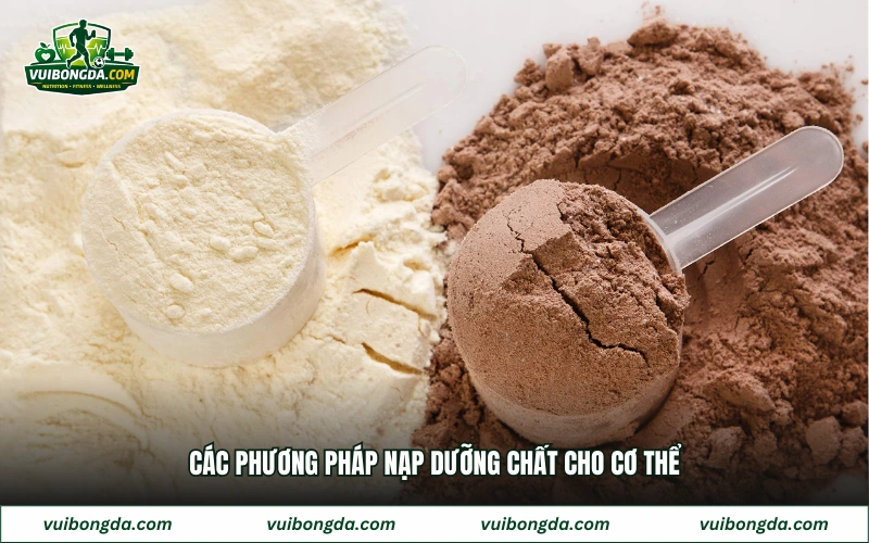 Các phương pháp nạp dưỡng chất cho cơ thể