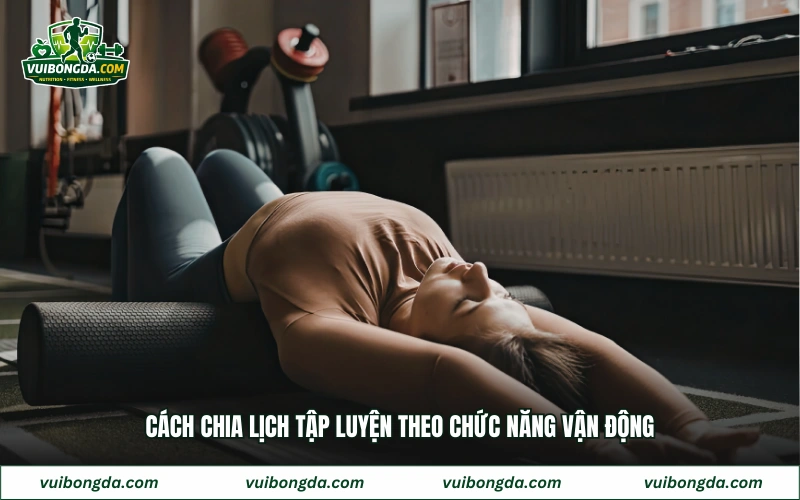 Cách chia lịch tập luyện theo chức năng vận động