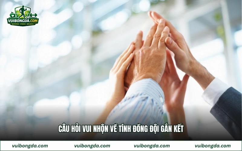 Câu hỏi vui nhộn về tính đồng đội gắn kết
