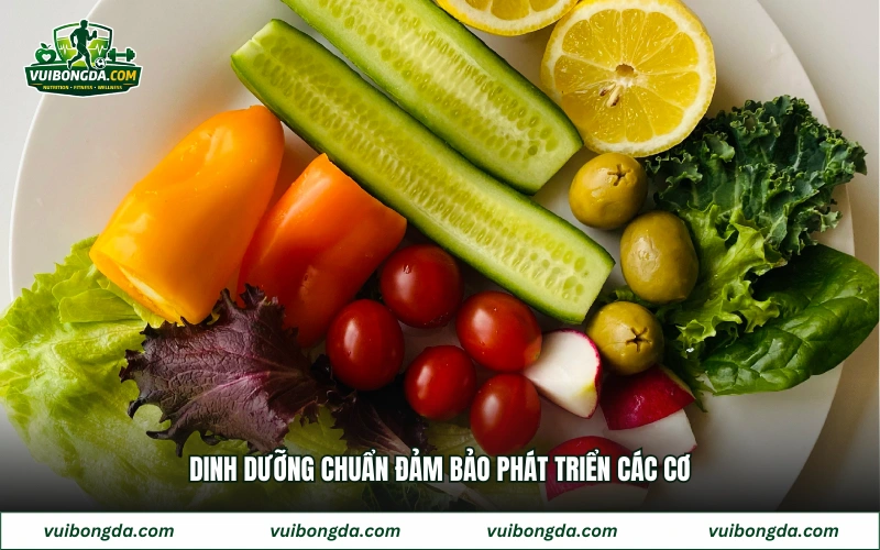 Dinh dưỡng chuẩn đảm bảo phát triển các cơ
