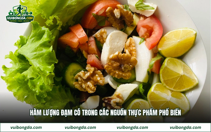 Hàm lượng đạm có trong các nguồn thực phẩm phổ biến