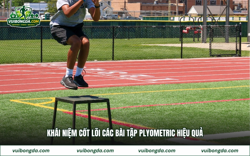 Khái niệm cốt lõi các bài tập plyometric hiệu quả