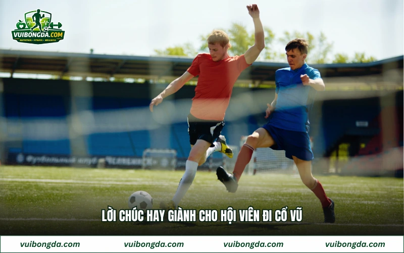 Lời chúc hay giành cho hội viên đi cổ vũ