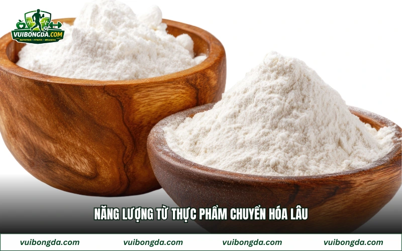 Năng lượng từ thực phẩm chuyển hóa lâu