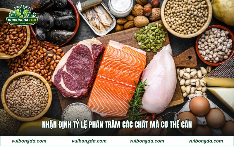 Nhận định tỷ lệ phần trăm các chất mà cơ thể cần
