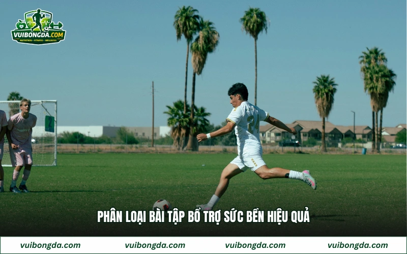 Phân loại bài tập bổ trợ sức bền hiệu quả