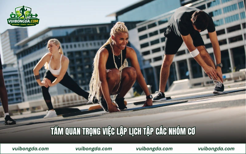 Tầm quan trọng việc lập lịch tập các nhóm cơ
