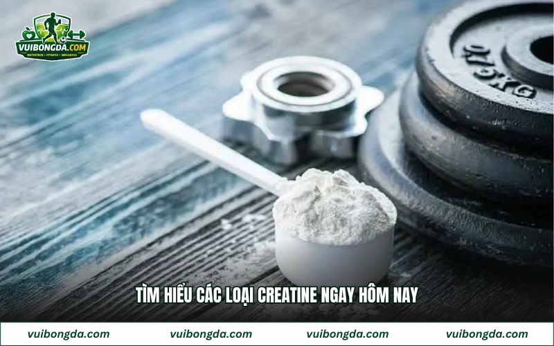 Tìm hiểu các loại creatine ngay hôm nay