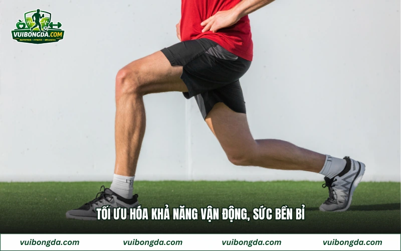Tối ưu hóa khả năng vận động, sức bền bỉ