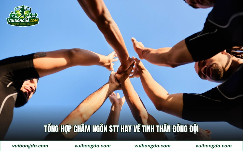 Tổng hợp châm ngôn stt hay về tinh thần đồng đội
