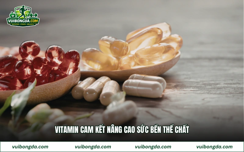Vitamin cam kết nâng cao sức bền thể chất